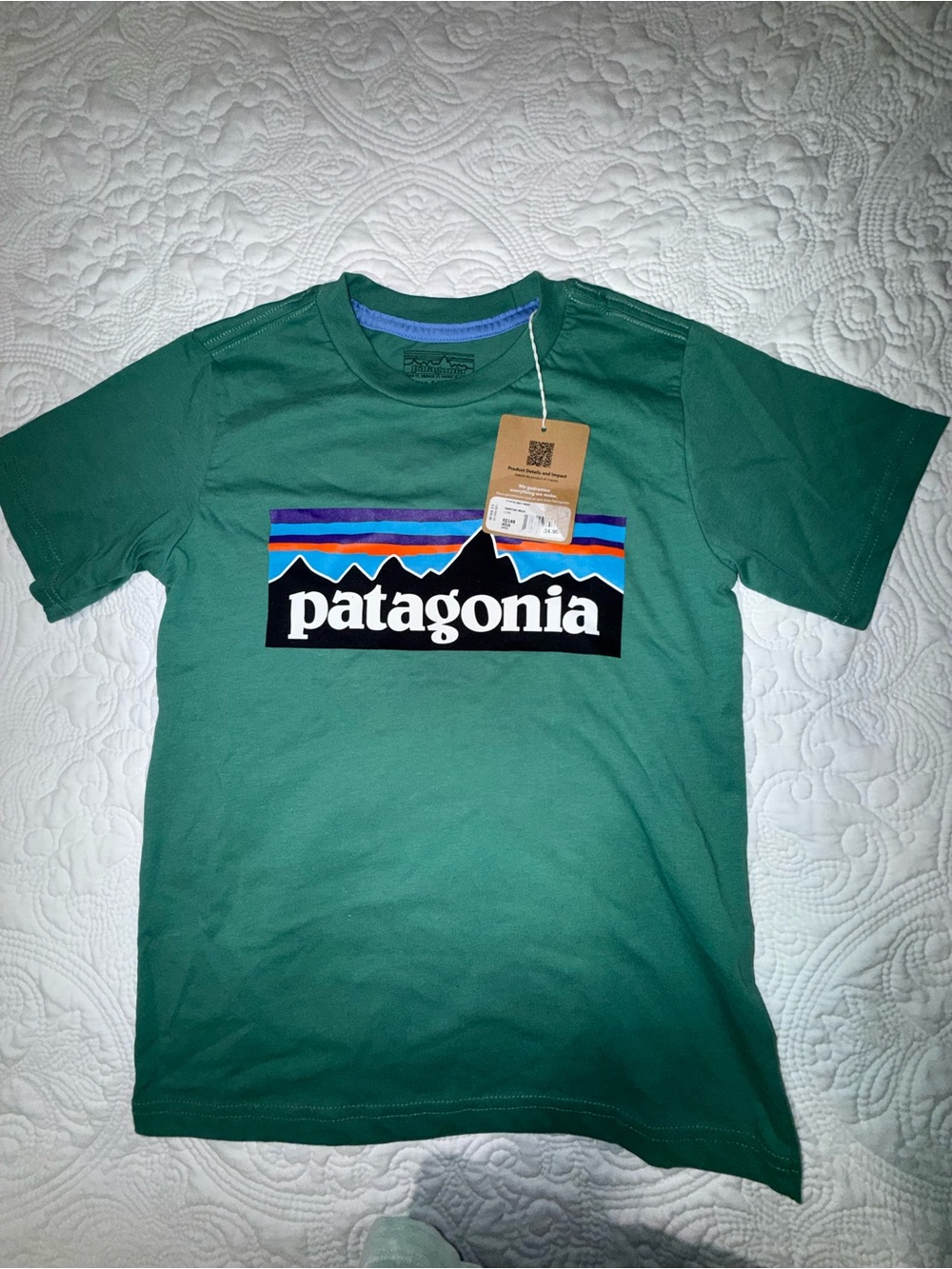 Patagonia Green Logo Tee with Multicolor Stripe Graphic